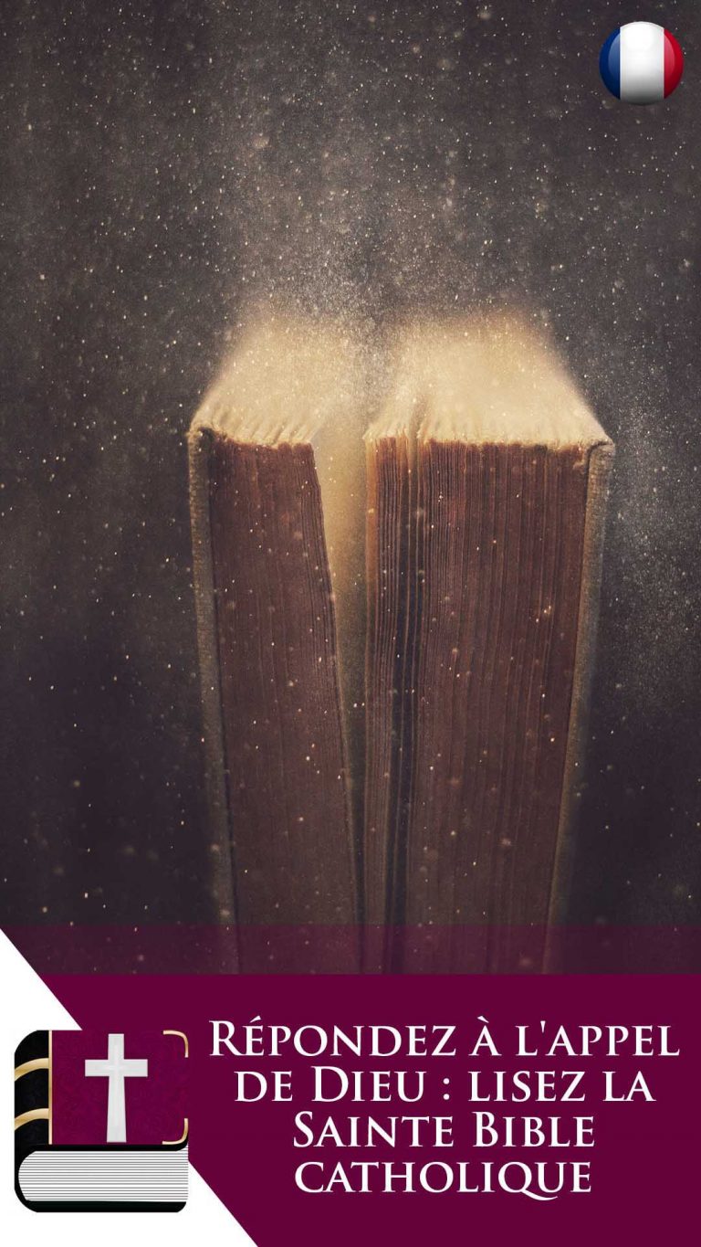 Sainte Bible Catholique Foundation Bible Study